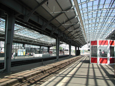 Central station Halle, Repair of the Platform Hall
