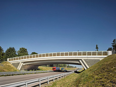 A14, Grünbrücken